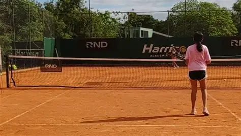 Academia Harrison Tenis - Los Lagos Resort Hotel